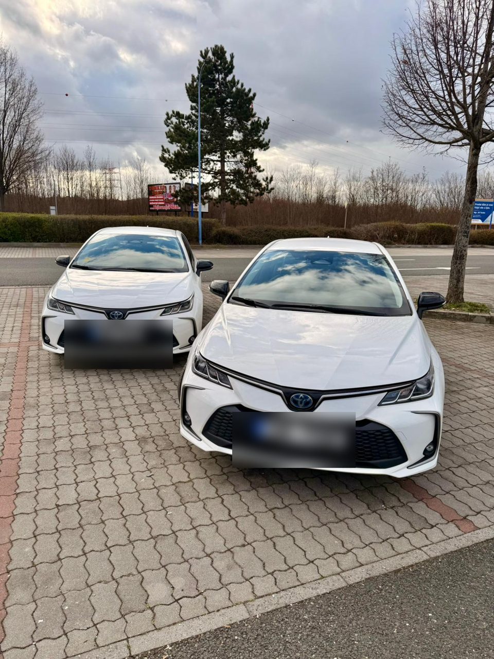 Two white Toyota Corolla Hybrid sedans parked, front view